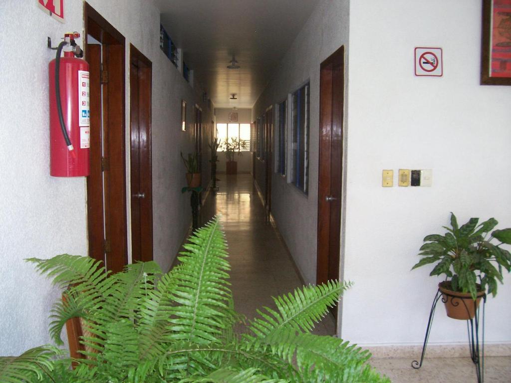 Hotel Acuario Catemaco Exterior photo